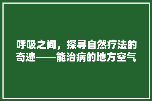 呼吸之间，探寻自然疗法的奇迹——能治病的地方空气 家电维修
