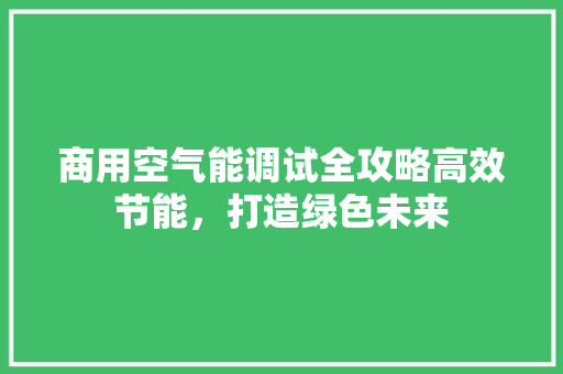 商用空气能调试全攻略高效节能，打造绿色未来 厨房维修