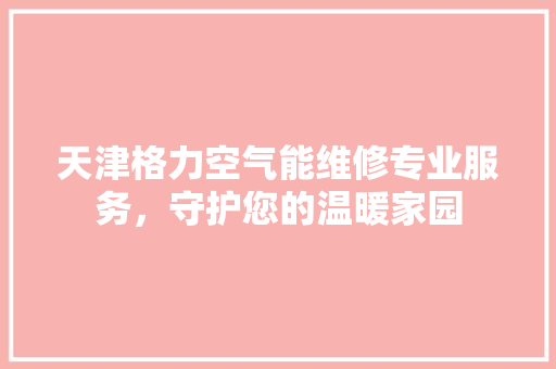 天津格力空气能维修专业服务，守护您的温暖家园 家电维修
