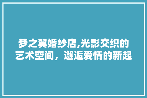 梦之翼婚纱店,光影交织的艺术空间，邂逅爱情的新起点 梦之翼婚纱店,光影交织的艺术空间，邂逅爱情的新起点 墙体维修