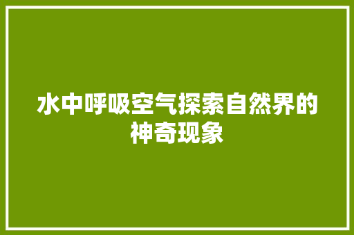 水中呼吸空气探索自然界的神奇现象 综合便民