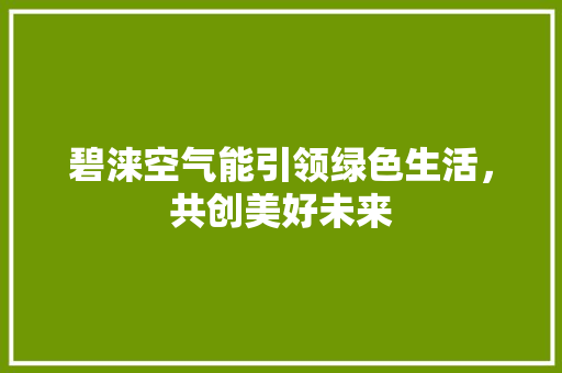 碧涞空气能引领绿色生活，共创美好未来 厨房维修