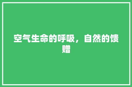空气生命的呼吸，自然的馈赠 墙体维修