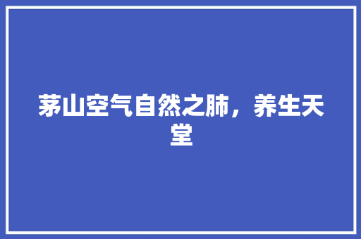 茅山空气自然之肺，养生天堂