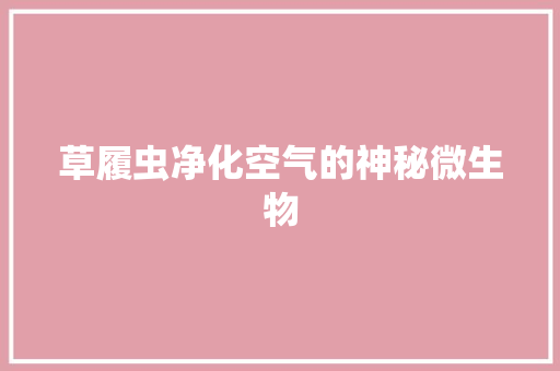 草履虫净化空气的神秘微生物