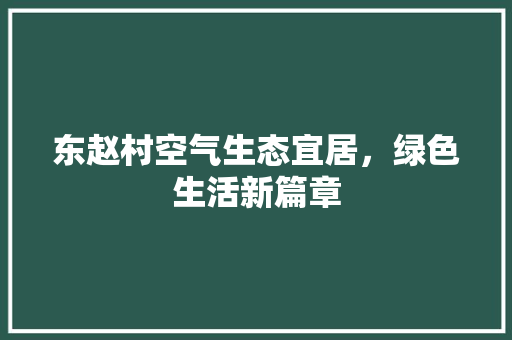 东赵村空气生态宜居，绿色生活新篇章 厨房维修