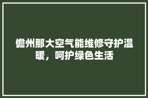 儋州那大空气能维修守护温暖，呵护绿色生活 家电维修