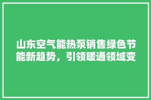 山东空气能热泵销售绿色节能新趋势，引领暖通领域变革 厨房维修