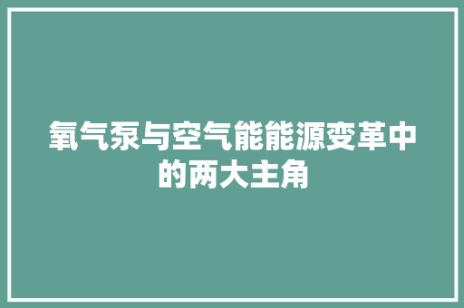 氧气泵与空气能能源变革中的两大主角 厨房维修
