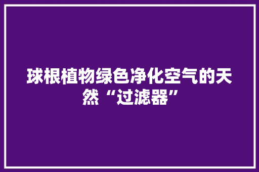 球根植物绿色净化空气的天然“过滤器” 家电维修