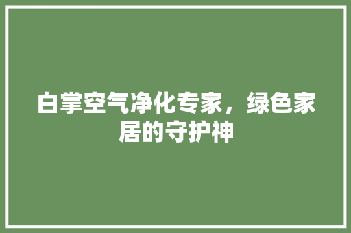 白掌空气净化专家，绿色家居的守护神 墙体维修