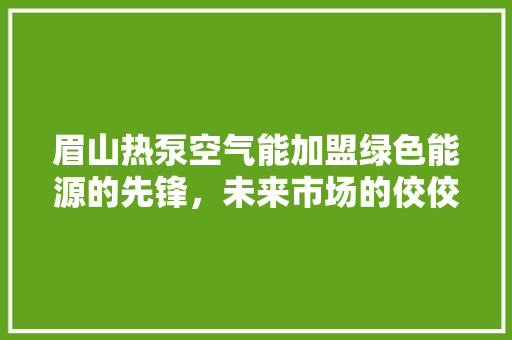 眉山热泵空气能加盟绿色能源的先锋，未来市场的佼佼者 厨房维修