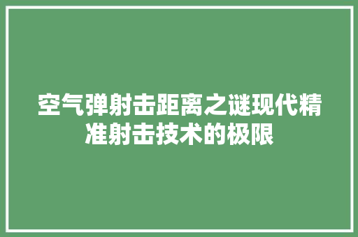 空气弹射击距离之谜现代精准射击技术的极限 墙体维修