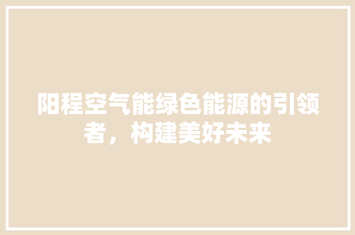 阳程空气能绿色能源的引领者，构建美好未来
