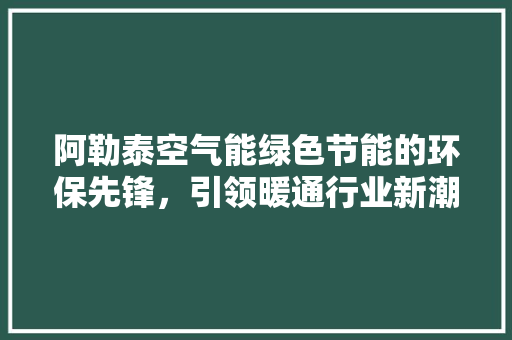 阿勒泰空气能绿色节能的环保先锋，引领暖通行业新潮流 厨房维修