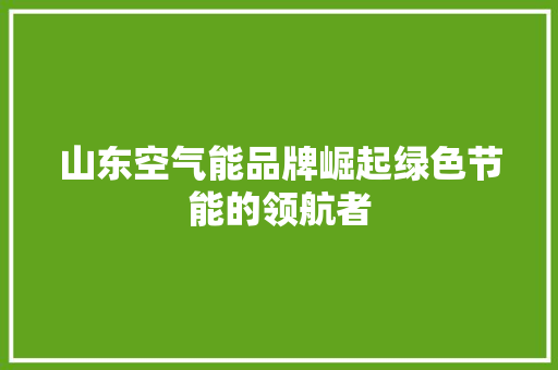 山东空气能品牌崛起绿色节能的领航者 汽车维修