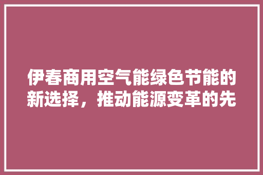 伊春商用空气能绿色节能的新选择，推动能源变革的先锋力量 厨房维修