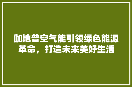 伽地普空气能引领绿色能源革命，打造未来美好生活 综合便民