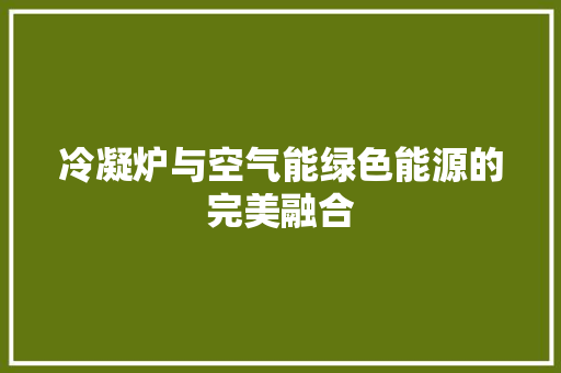 冷凝炉与空气能绿色能源的完美融合 汽车维修