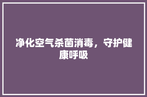 净化空气杀菌消毒，守护健康呼吸 综合便民