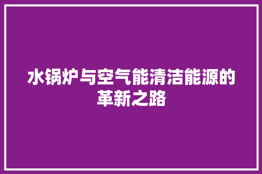 水锅炉与空气能清洁能源的革新之路 家电维修