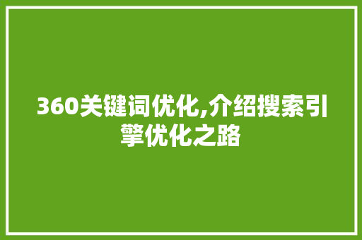 360关键词优化,介绍搜索引擎优化之路