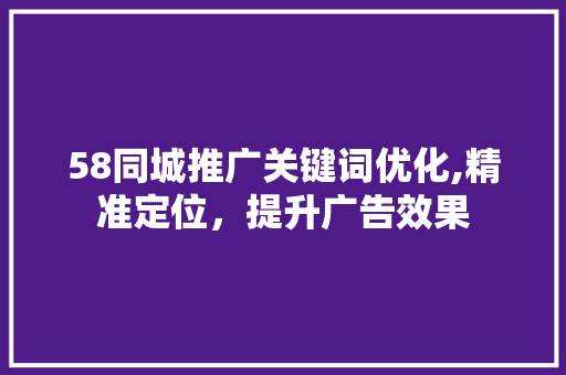 58同城推广关键词优化,精准定位，提升广告效果