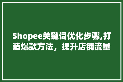 Shopee关键词优化步骤,打造爆款方法，提升店铺流量与转化率