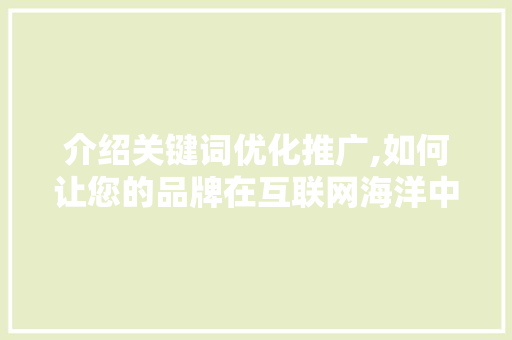 介绍关键词优化推广,如何让您的品牌在互联网海洋中乘风破浪