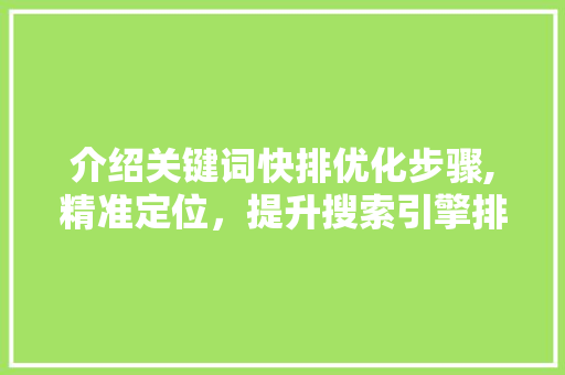 介绍关键词快排优化步骤,精准定位，提升搜索引擎排名
