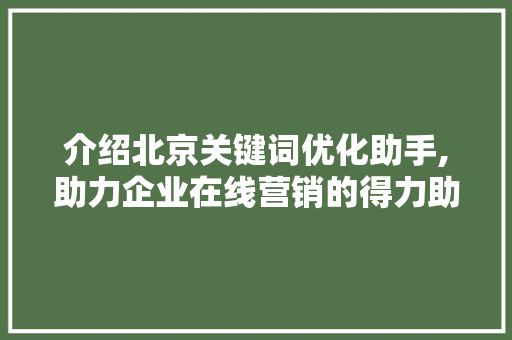 介绍北京关键词优化助手,助力企业在线营销的得力助手