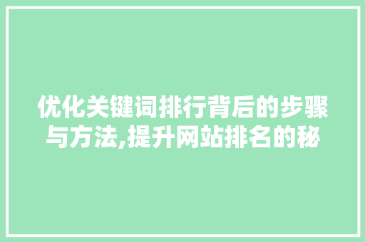 优化关键词排行背后的步骤与方法,提升网站排名的秘密武器