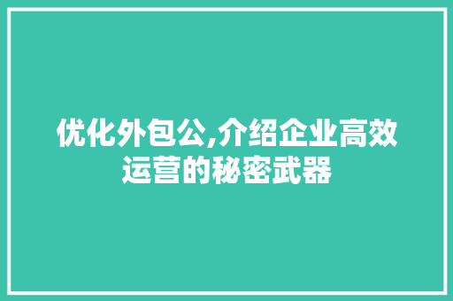 优化外包公,介绍企业高效运营的秘密武器