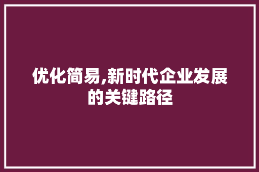 优化简易,新时代企业发展的关键路径