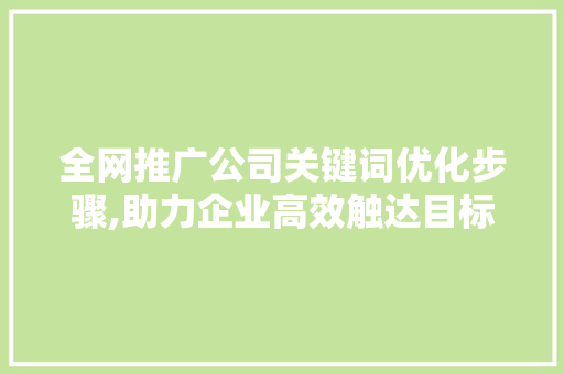全网推广公司关键词优化步骤,助力企业高效触达目标用户