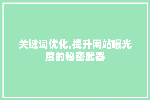 关键词优化,提升网站曝光度的秘密武器