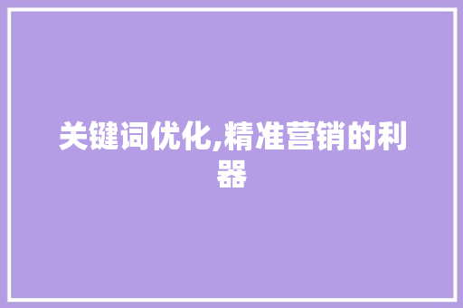 关键词优化,精准营销的利器