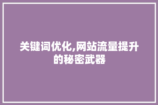 关键词优化,网站流量提升的秘密武器