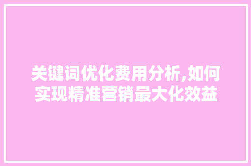 关键词优化费用分析,如何实现精准营销最大化效益