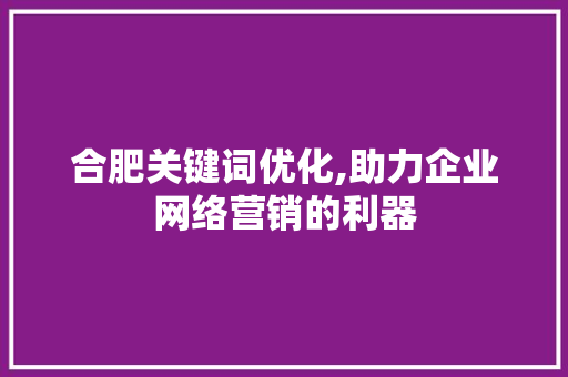 合肥关键词优化,助力企业网络营销的利器