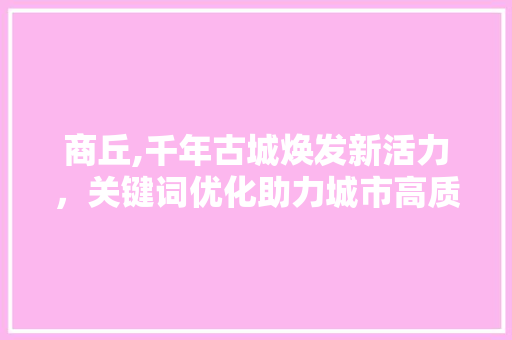 商丘,千年古城焕发新活力，关键词优化助力城市高质量发展