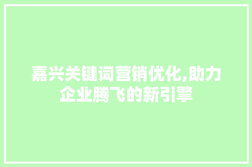 嘉兴关键词营销优化,助力企业腾飞的新引擎
