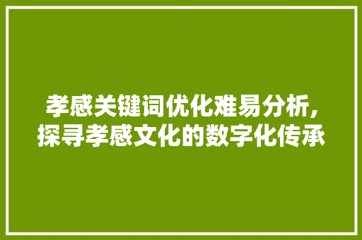 孝感关键词优化难易分析,探寻孝感文化的数字化传承之路