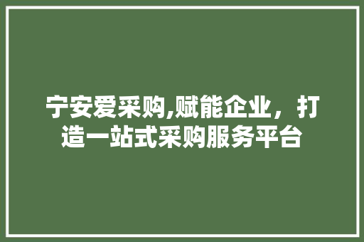 宁安爱采购,赋能企业，打造一站式采购服务平台