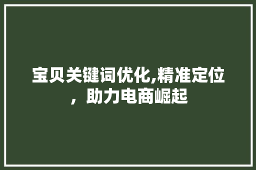 宝贝关键词优化,精准定位，助力电商崛起