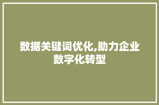 数据关键词优化,助力企业数字化转型