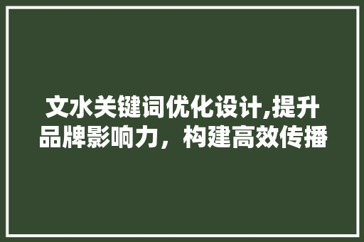 文水关键词优化设计,提升品牌影响力，构建高效传播矩阵