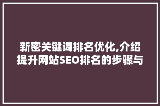 新密关键词排名优化,介绍提升网站SEO排名的步骤与方法