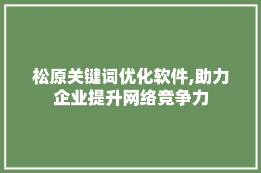 松原关键词优化软件,助力企业提升网络竞争力
