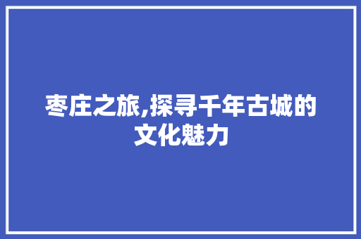 枣庄之旅,探寻千年古城的文化魅力 家电维修